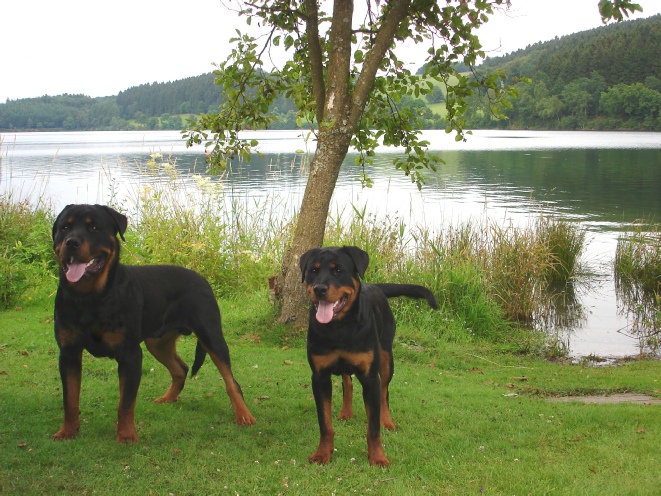 Dusty und Emma vom Biggeschlösschen